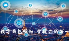 深入探讨建行数字钱包明细：掌握你的每一笔消