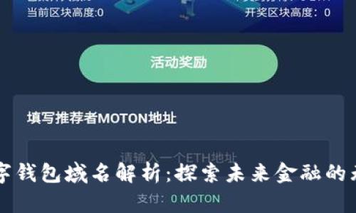 华为数字钱包域名解析：探索未来金融的无限可能