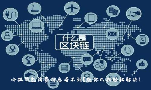 小狐钱包消费信息看不到？教你几招轻松解决！