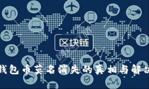 小狐钱包币莫名消失的真相与解决方案