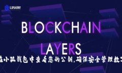 如何在小狐钱包中查看您