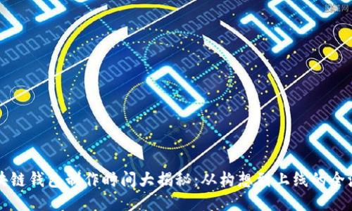 区块链钱包制作时间大揭秘：从构想到上线的全流程