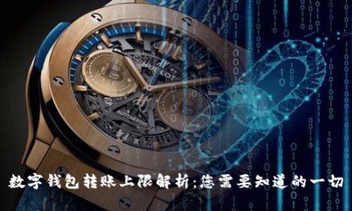 数字钱包转账上限解析：您需要知道的一切