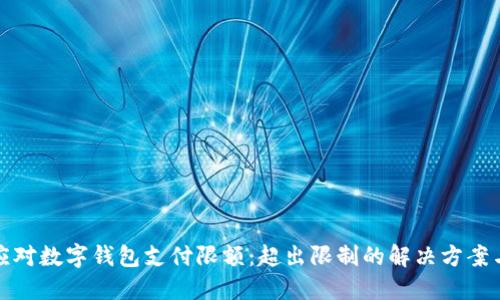 如何应对数字钱包支付限额：超出限制的解决方案与技巧