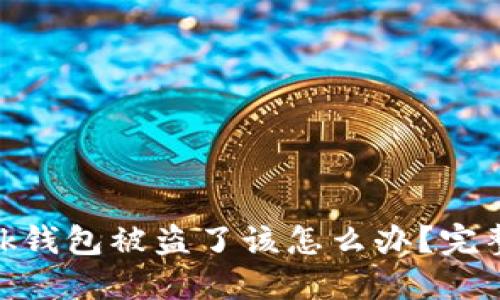 MetaMask钱包被盗了该怎么办？完整投诉指南