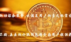   小狐钱包支持存波卡币吗？深度解析与用户体验