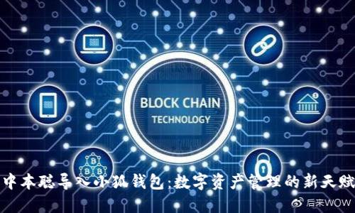 中本聪导入小狐钱包：数字资产管理的新天赋