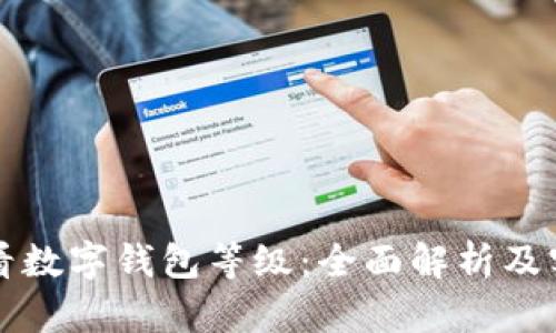 如何查看数字钱包等级：全面解析及实用指南