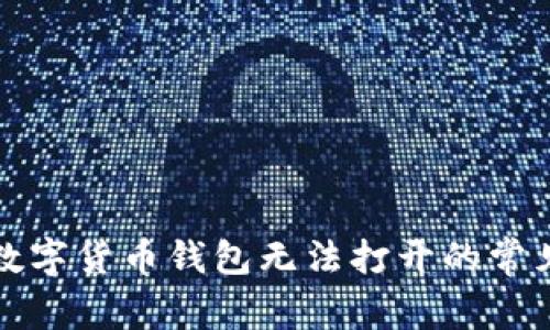 解决数字货币钱包无法打开的常见问题