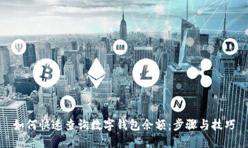 如何快速查询数字钱包余额：步骤与技巧