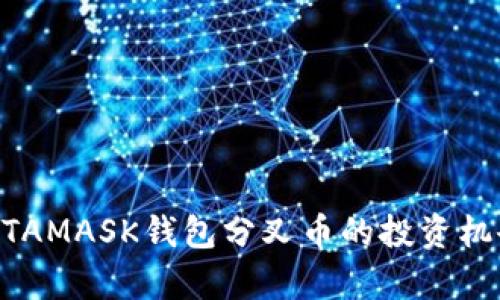 深度剖析：METAMASK钱包分叉币的投资机会与风险分析