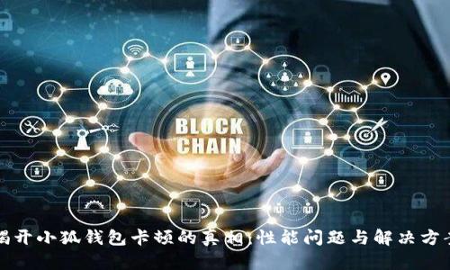 揭开小狐钱包卡顿的真相：性能问题与解决方案
