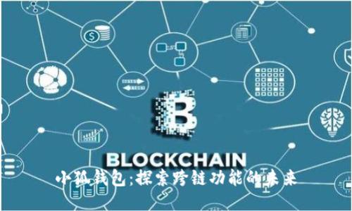 小狐钱包：探索跨链功能的未来
