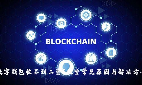 数字钱包收不到工资？探索常见原因与解决方案