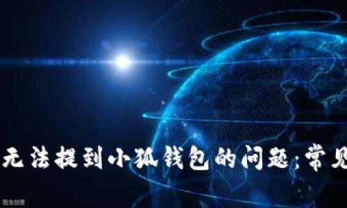如何解决Core币无法提到小狐钱包的问题：常见原因与解决方案