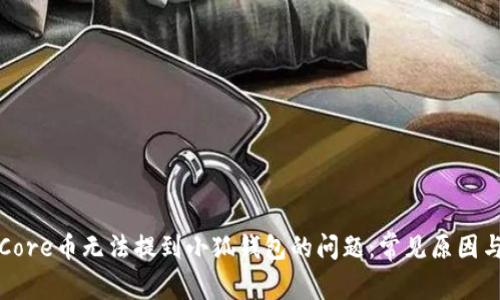 如何解决Core币无法提到小狐钱包的问题：常见原因与解决方案