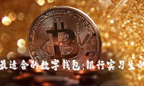 如何选择最适合的数字钱包：银行实习生的实用指南