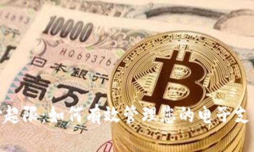 数字钱包支付超限：如何有效管理您的电子支付和降低风险