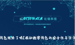 数字钱包跑路了吗？揭秘数字钱包的安全性与信