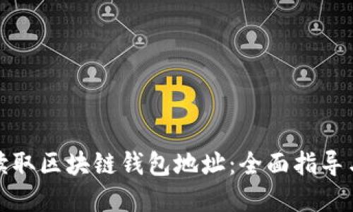如何快速读取区块链钱包地址：全面指导与实用技巧