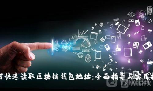 如何快速读取区块链钱包地址：全面指导与实用技巧