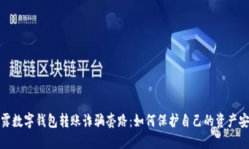 揭露数字钱包转账诈骗套路：如何保护自己的资产安全