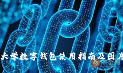 清华大学数字钱包使用指南及图片下载