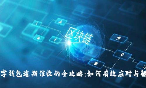 数字钱包逾期催收的全攻略：如何有效应对与解决