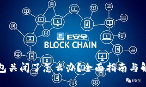 数字钱包关闭了怎么办？全面指南与解决方案