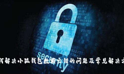 如何解决小狐钱包数额出错的问题及常见解决方案