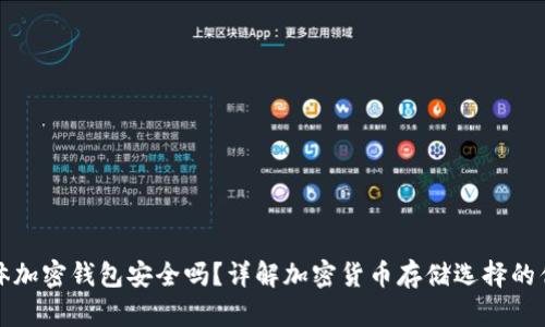 实体加密钱包安全吗？详解加密货币存储选择的优劣