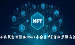 如何在小狐钱包中添加USDT币安主网？详细步骤与