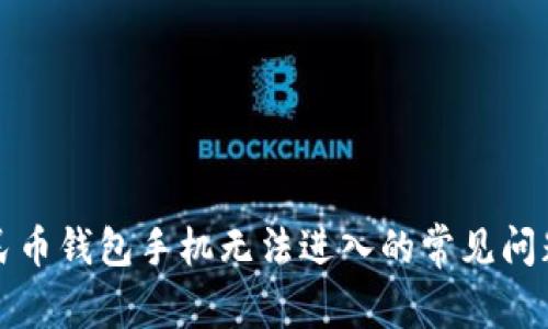 解决数字人民币钱包手机无法进入的常见问题及解决方案
