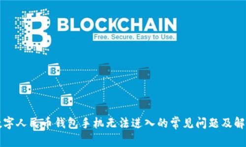 解决数字人民币钱包手机无法进入的常见问题及解决方案