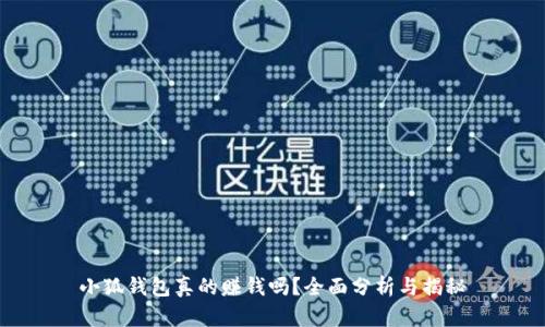 小狐钱包真的赚钱吗？全面分析与揭秘
