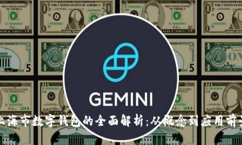 上海市数字钱包的全面解析：从概念到应用前景