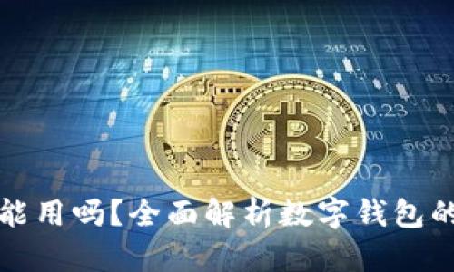 数字钱包没钱还能用吗？全面解析数字钱包的使用场景与功能
