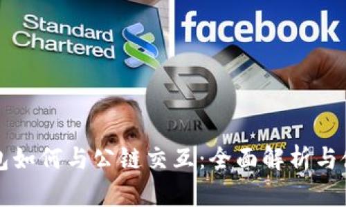 小狐钱包如何与公链交互：全面解析与使用指南