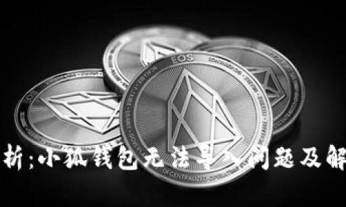全面解析：小狐钱包无法导入问题及解决方案