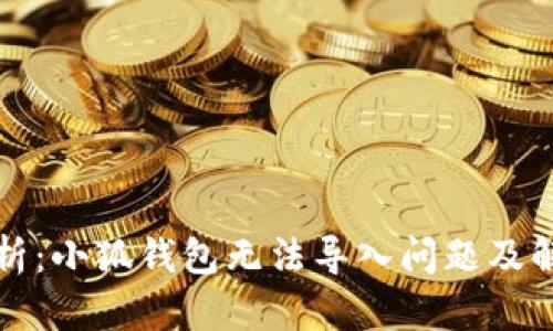 全面解析：小狐钱包无法导入问题及解决方案