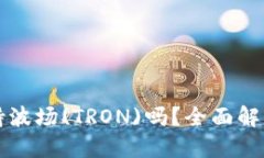 小狐钱包支持波场(TRON)吗？全面解读与使用指南