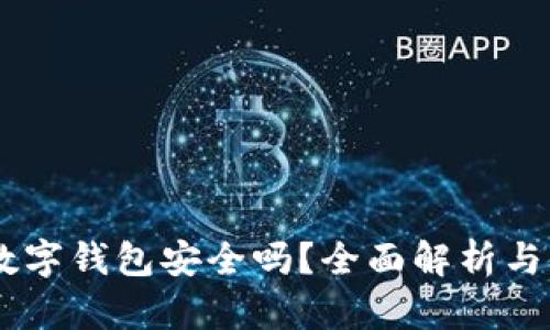 Potato数字钱包安全吗？全面解析与使用指南