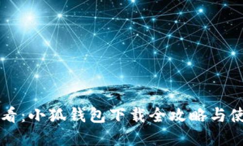 苹果用户必看：小狐钱包下载全攻略与使用体验详解