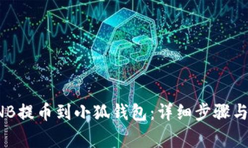 如何将BNB提币到小狐钱包：详细步骤与注意事项