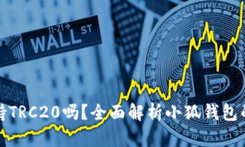小狐钱包支持TRC20吗？全面解析小狐钱包的功能与特性