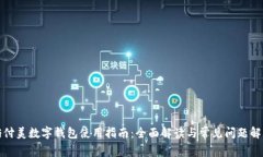 佰付美数字钱包使用指南：全面解读与常见问题