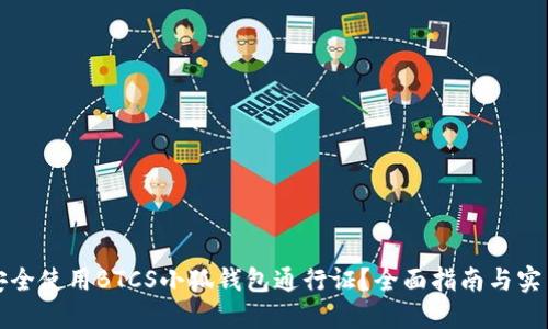 如何安全使用BTCS小狐钱包通行证？全面指南与实用技巧