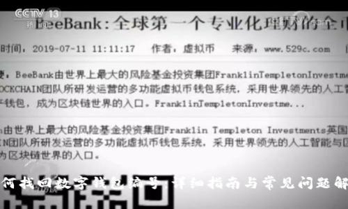 如何找回数字钱包编号：详细指南与常见问题解答