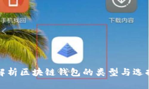 全面解析区块链钱包的类型与选择指南