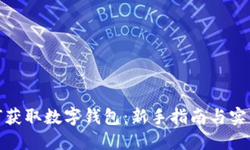 : 如何获取数字钱包：新手指南与实用技巧